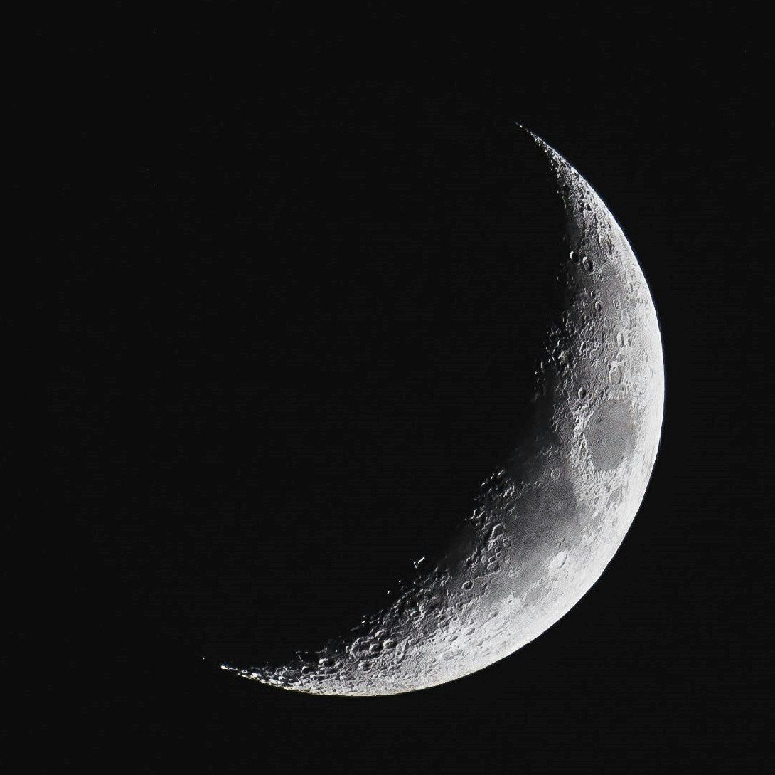 Go to Gele Phant's profile