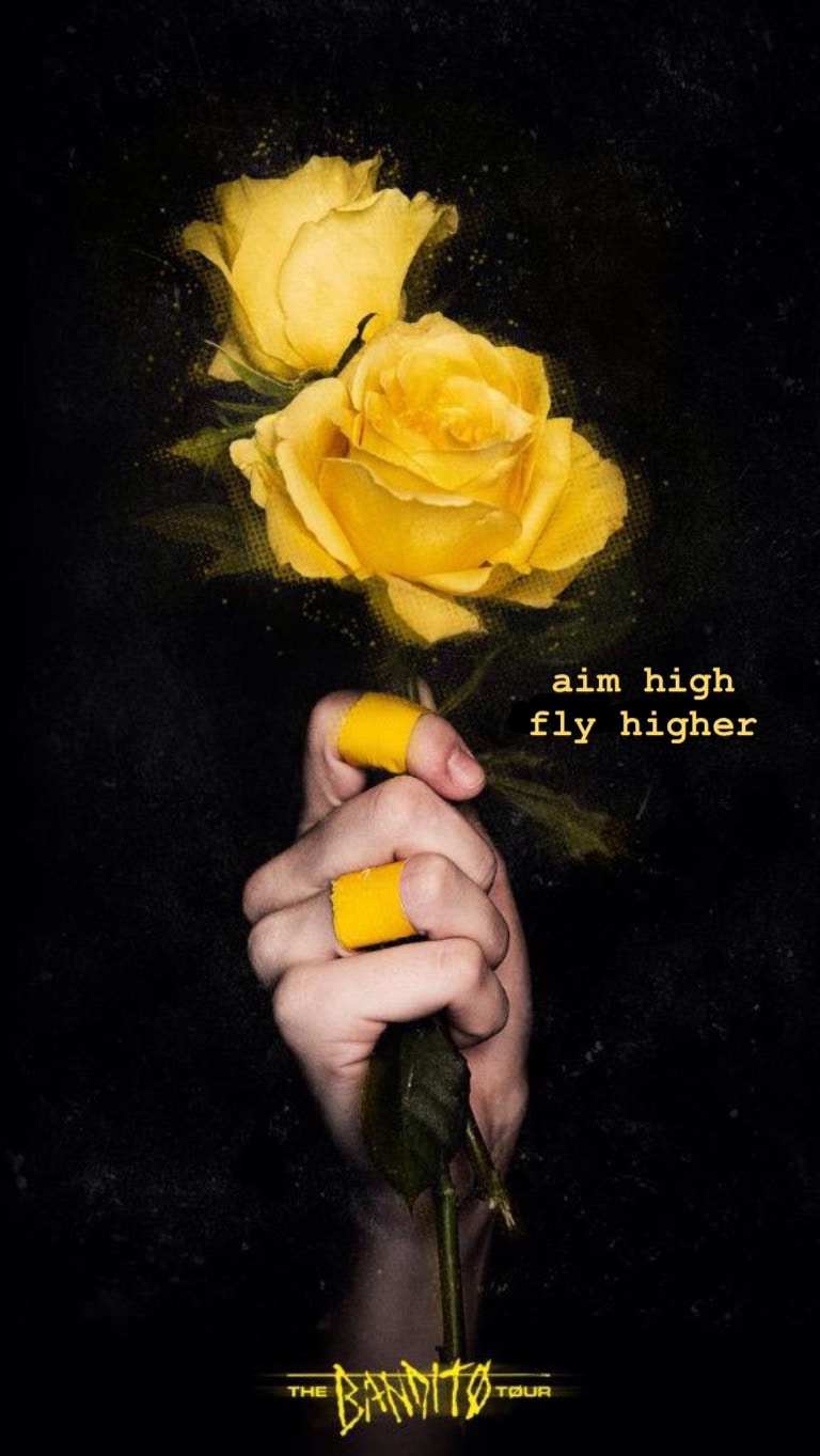 Avatar of user Nurgissa Ussen