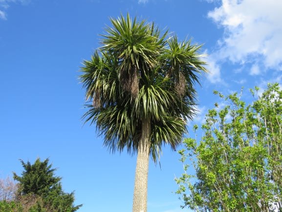 Go to Chris's profile