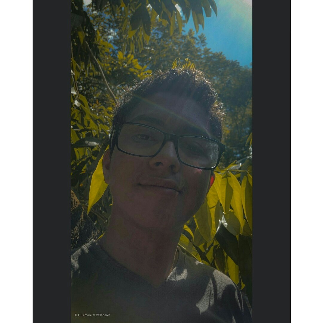 Go to Luis Valladares's profile