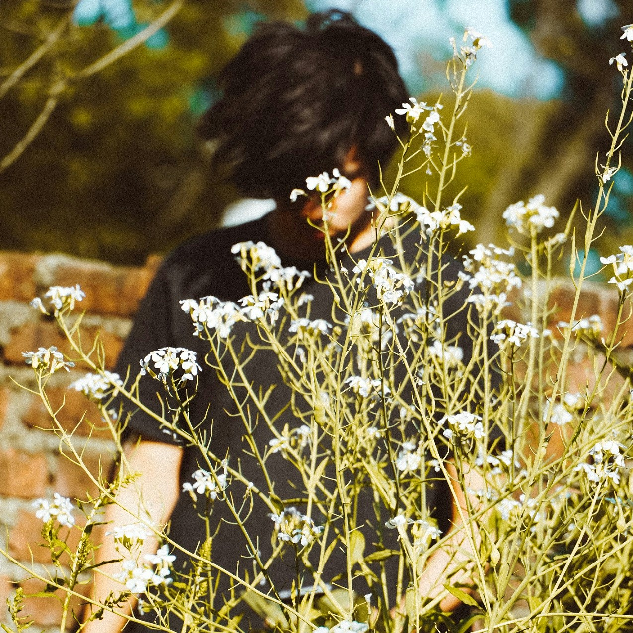 Go to clasiqh's profile