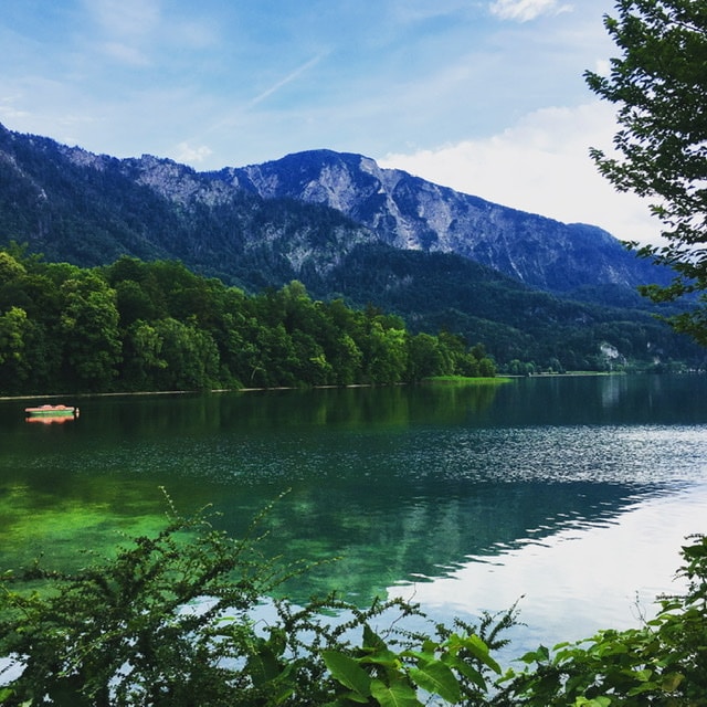 Go to - Tobias -'s profile