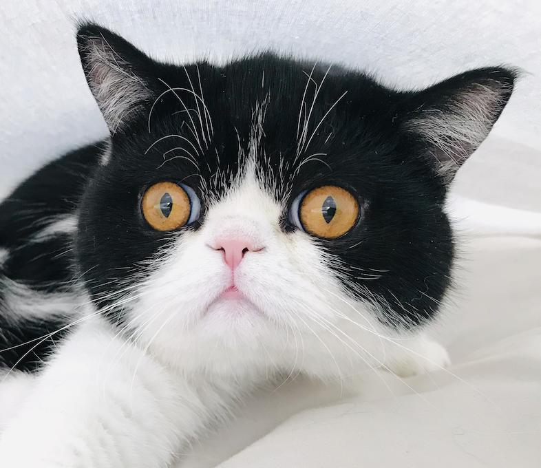 Go to lingda kong's profile