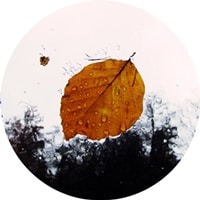 Go to Łukasz Dańczak's profile