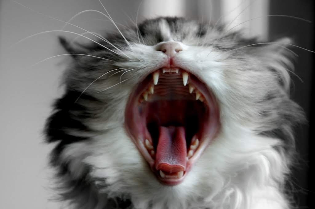 Go to Jean Willemssens's profile