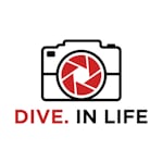 Avatar of user Dive. In Life