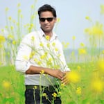 Avatar of user shalender kumar