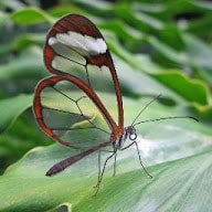 Go to Rachel S. Heslin's profile