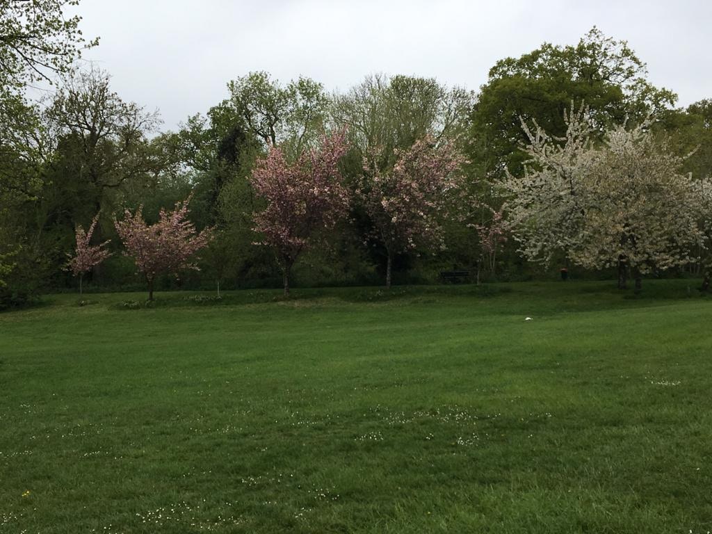 Avatar of user Isaac Walker