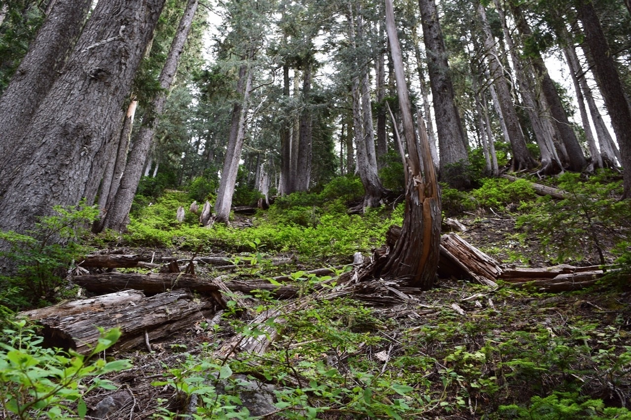 Go to Danny Piper's profile