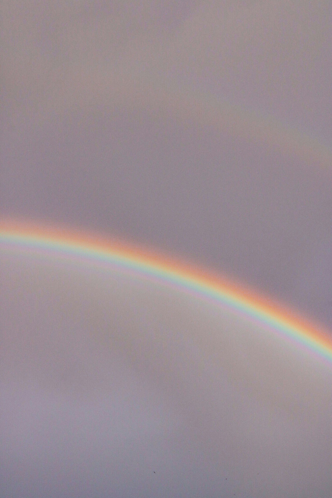 Go to patri's profile