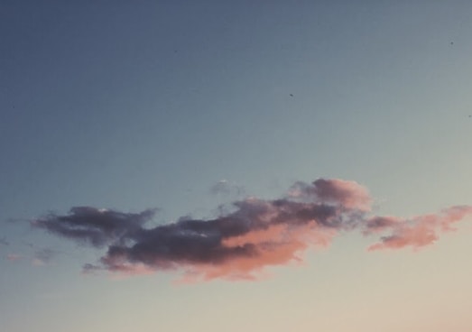 Go to Mikaela Wiedenhoff's profile