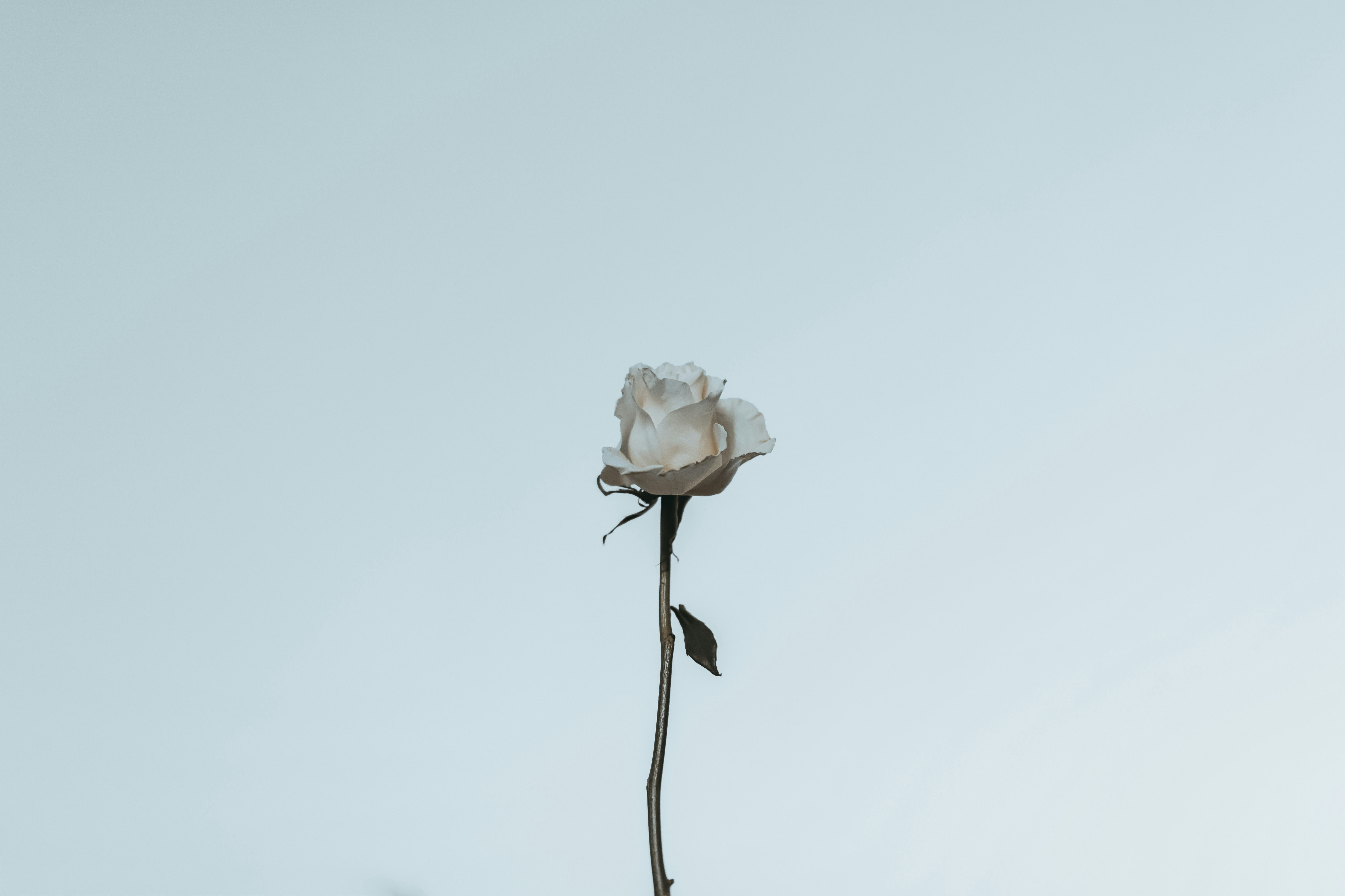 Unsplash profile picture for @myself