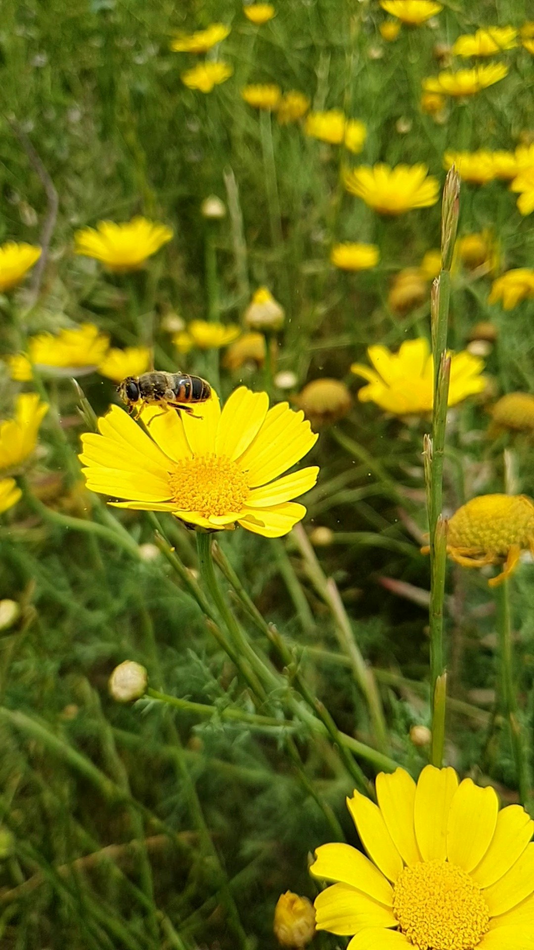 Ve al perfil de Christos Gavriel