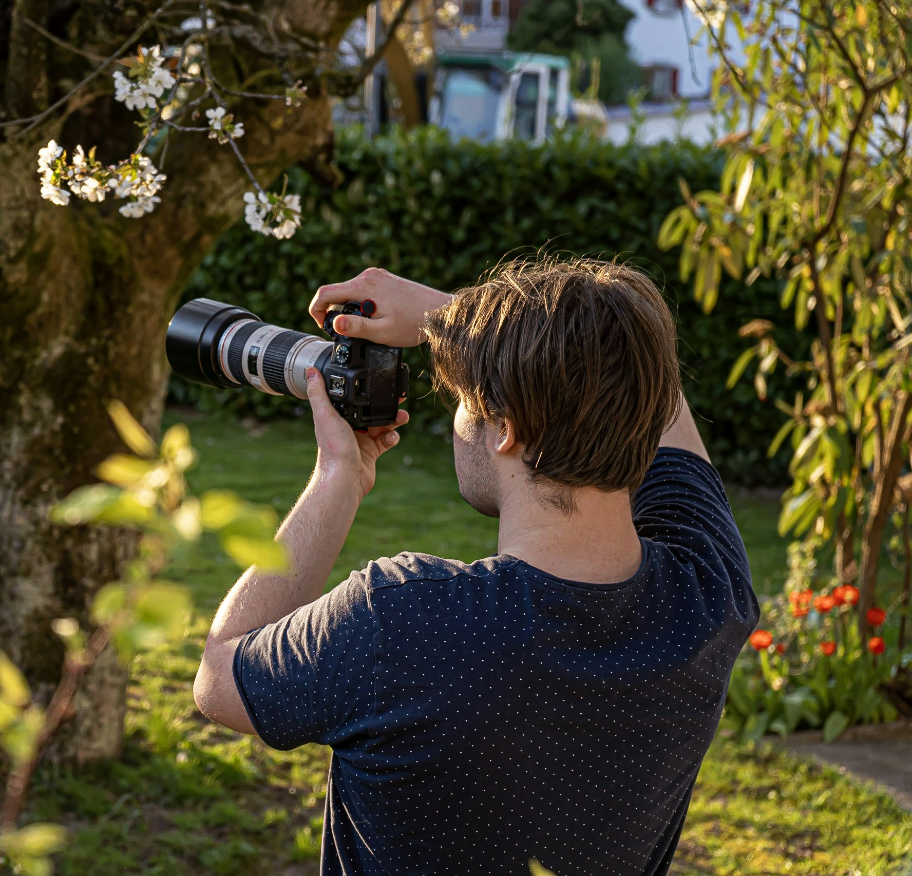 Zum Profil von Chris Stein