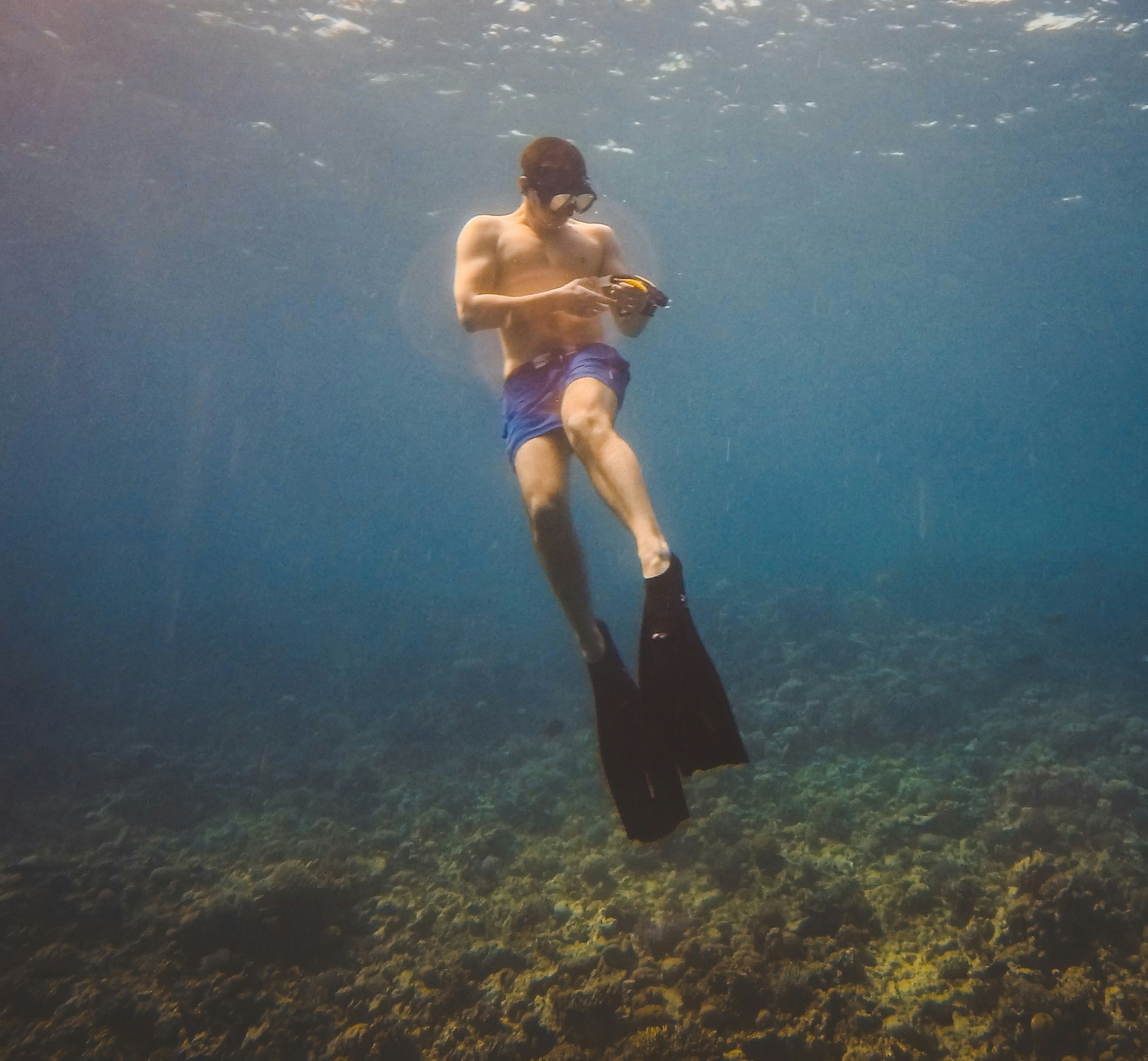 Zum Profil von Sven Vee