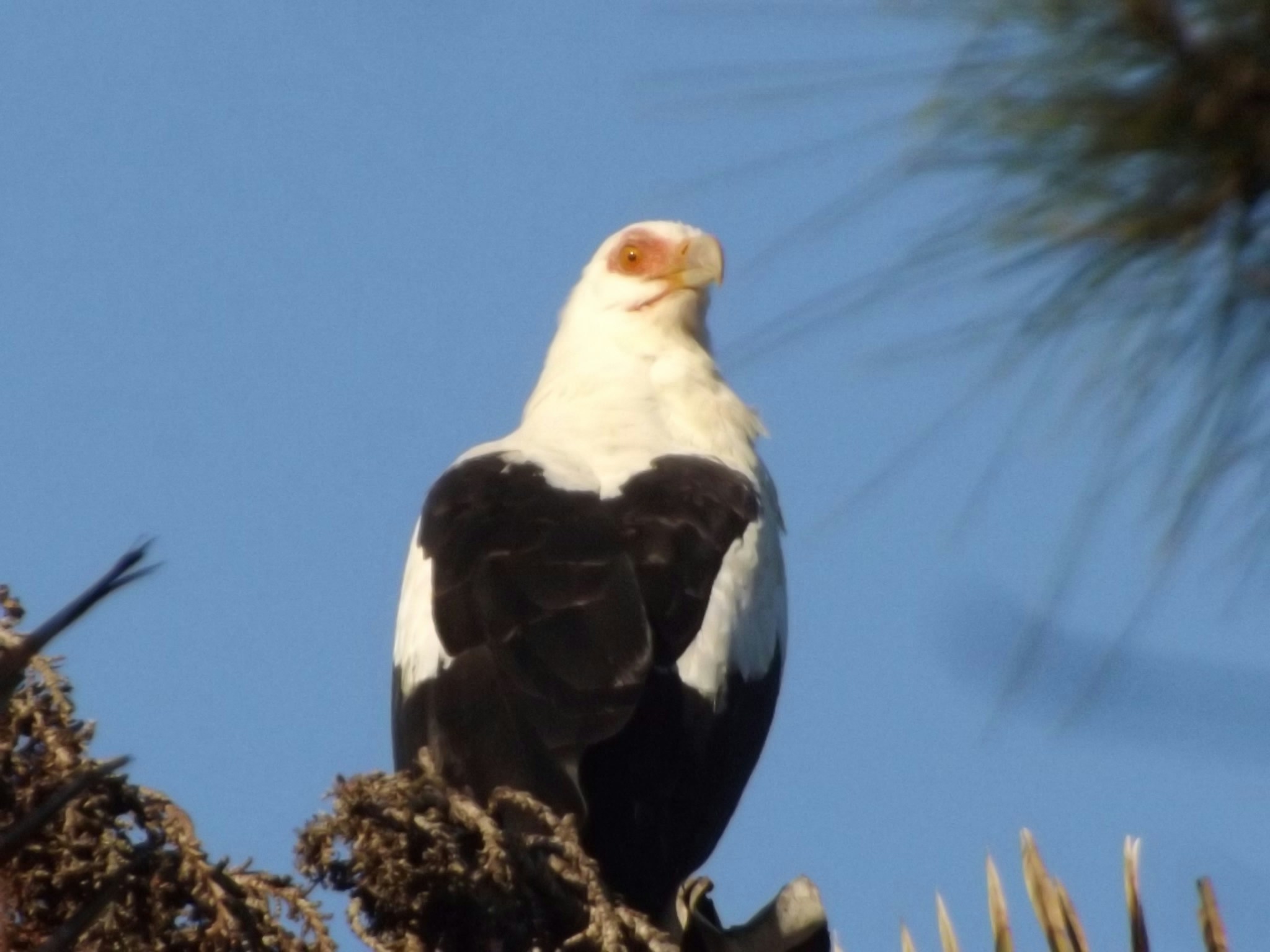 Avatar of user Martie Bloem