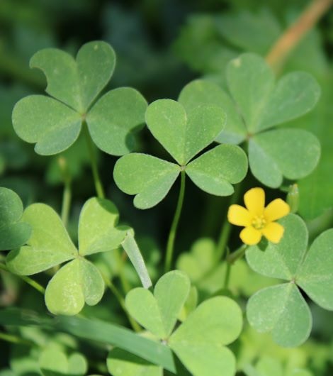 Go to Callen Romell's profile