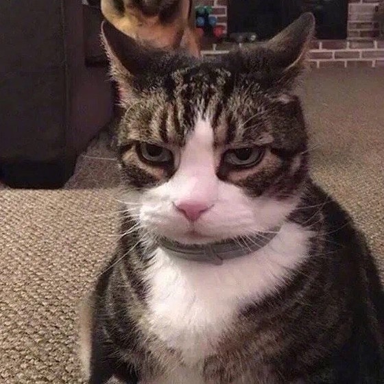 Go to Werzk Luuuuuuu's profile