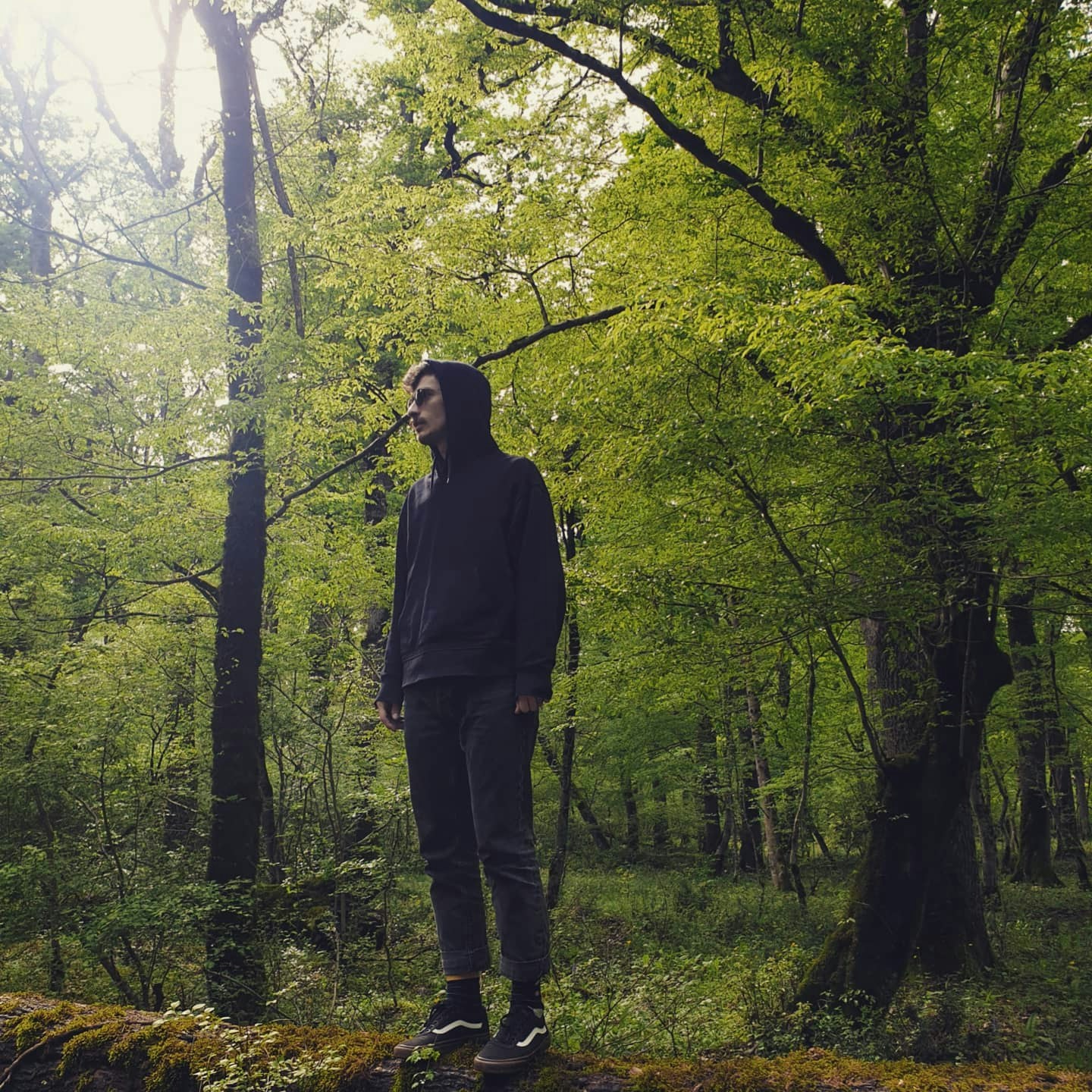 Avatar of user avto tsakadze