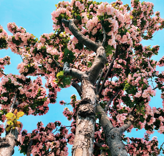 Go to Ivan Xu's profile