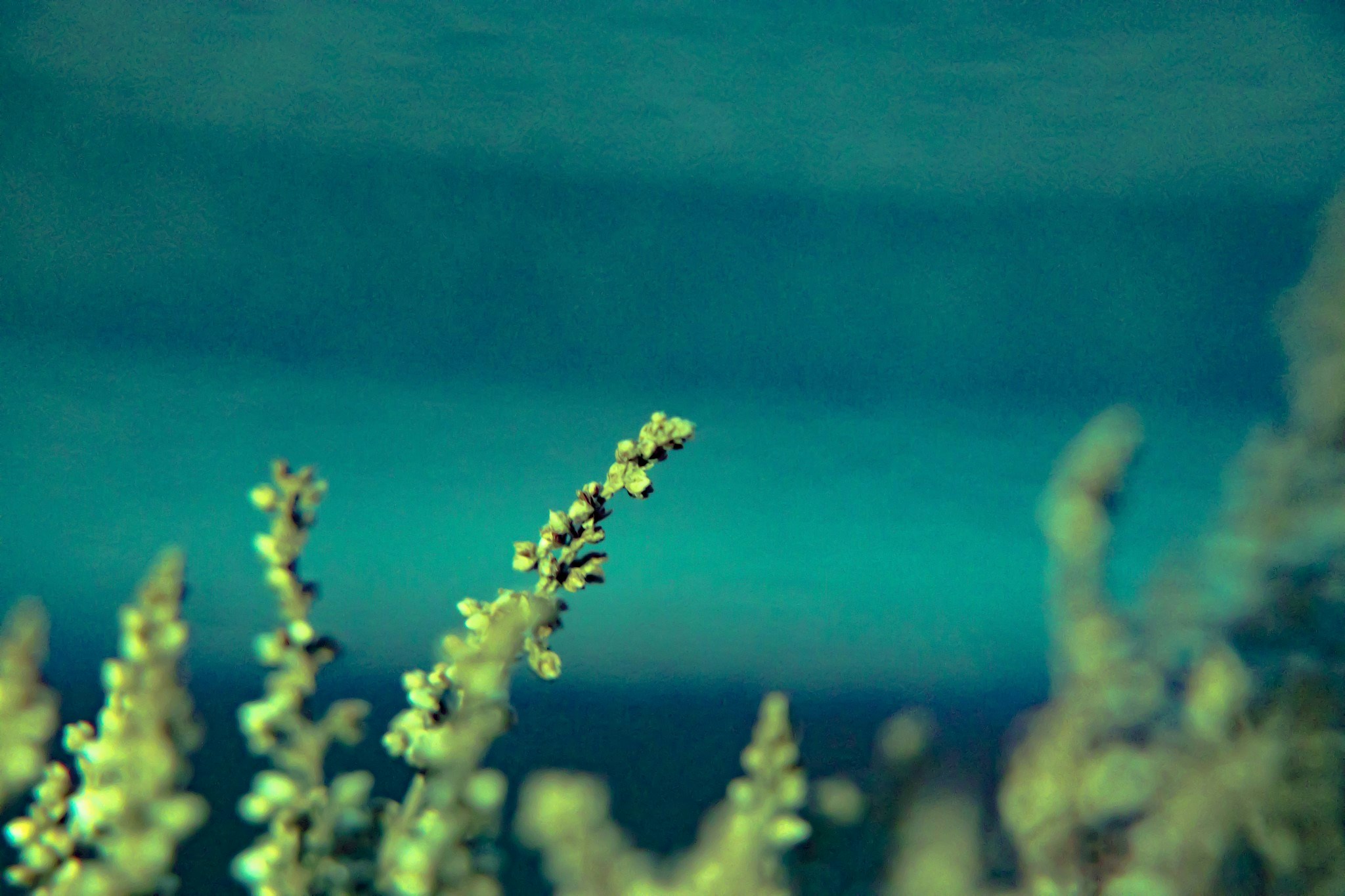 Zum Profil von Alex Novitski