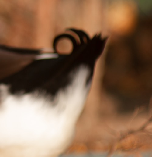 Go to Tuna's profile