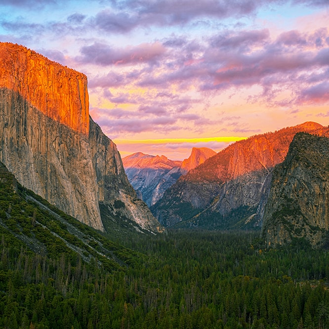 Ve al perfil de Anshul Jain