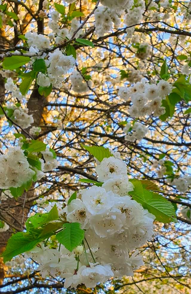 Avatar of user Paul Edesemi