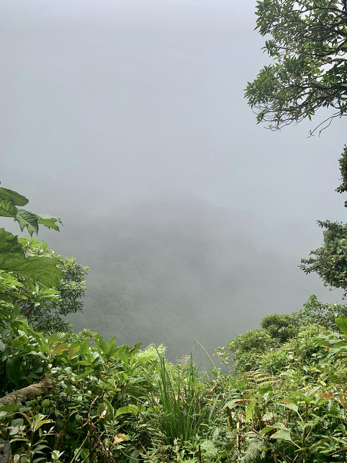 Go to Logan Clark's profile