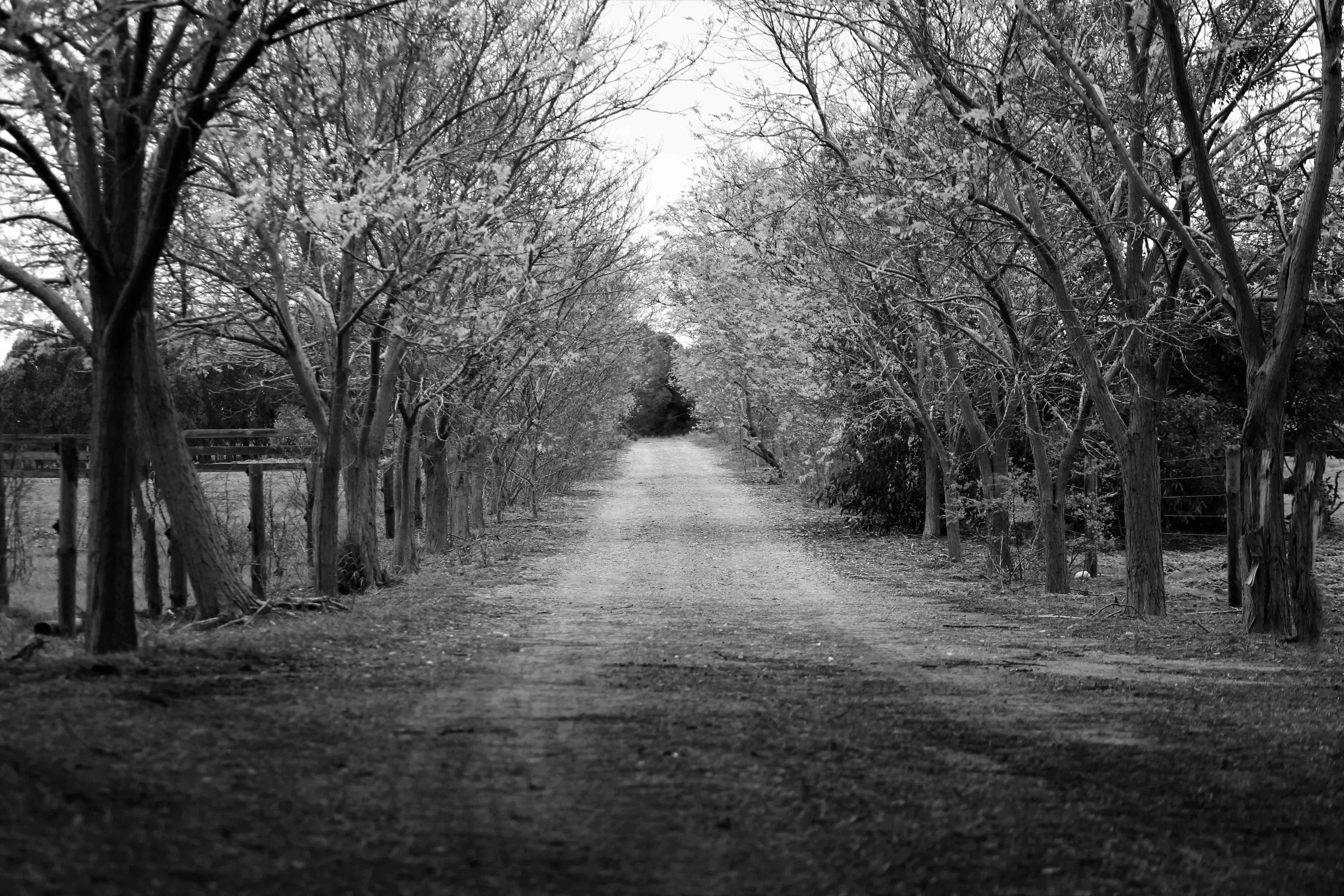 Go to Scott Kelley's profile