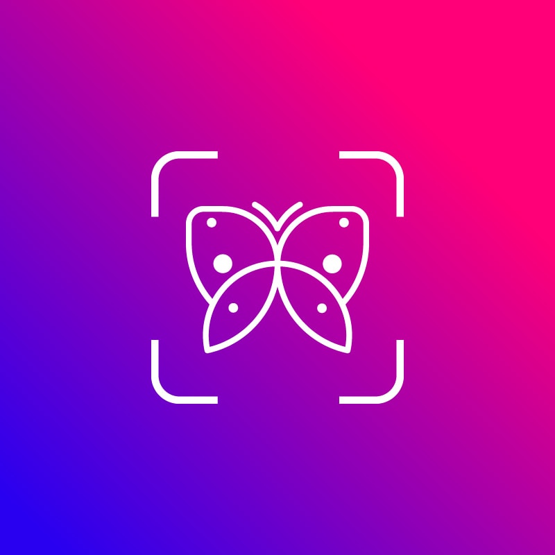 Go to Danaus Mx's profile