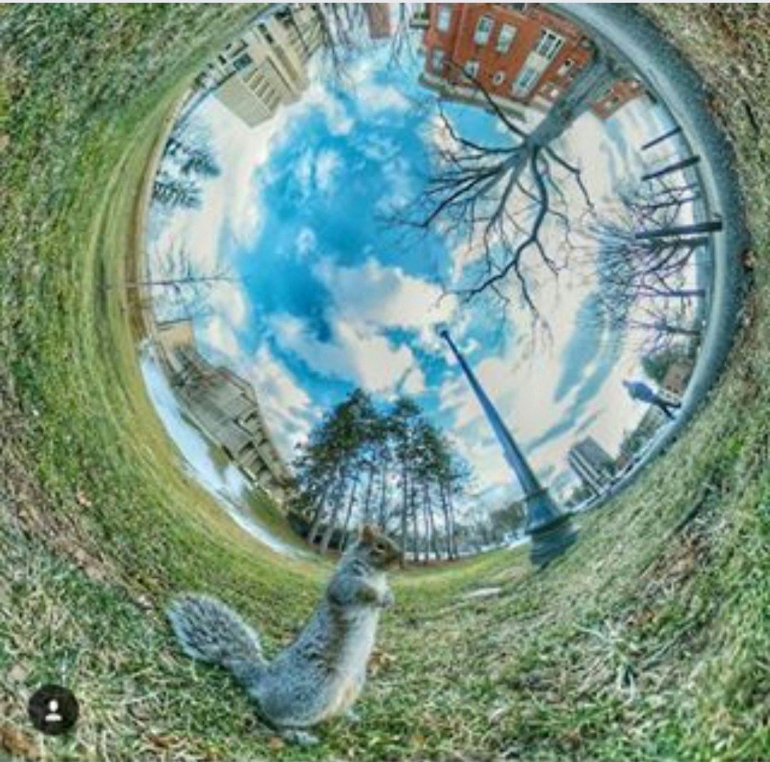 Go to Dhruv Maniyar's profile