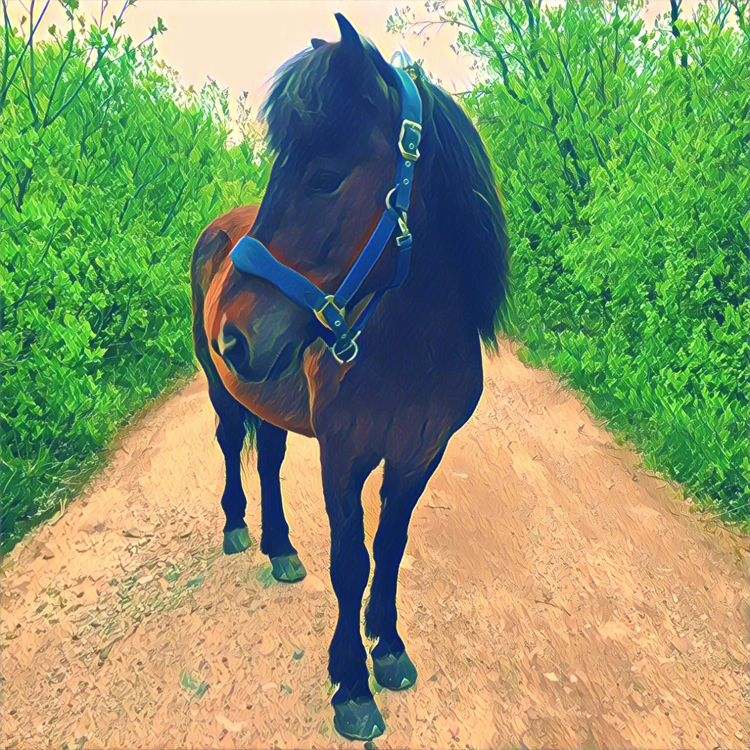 Go to Silje Roseneng's profile