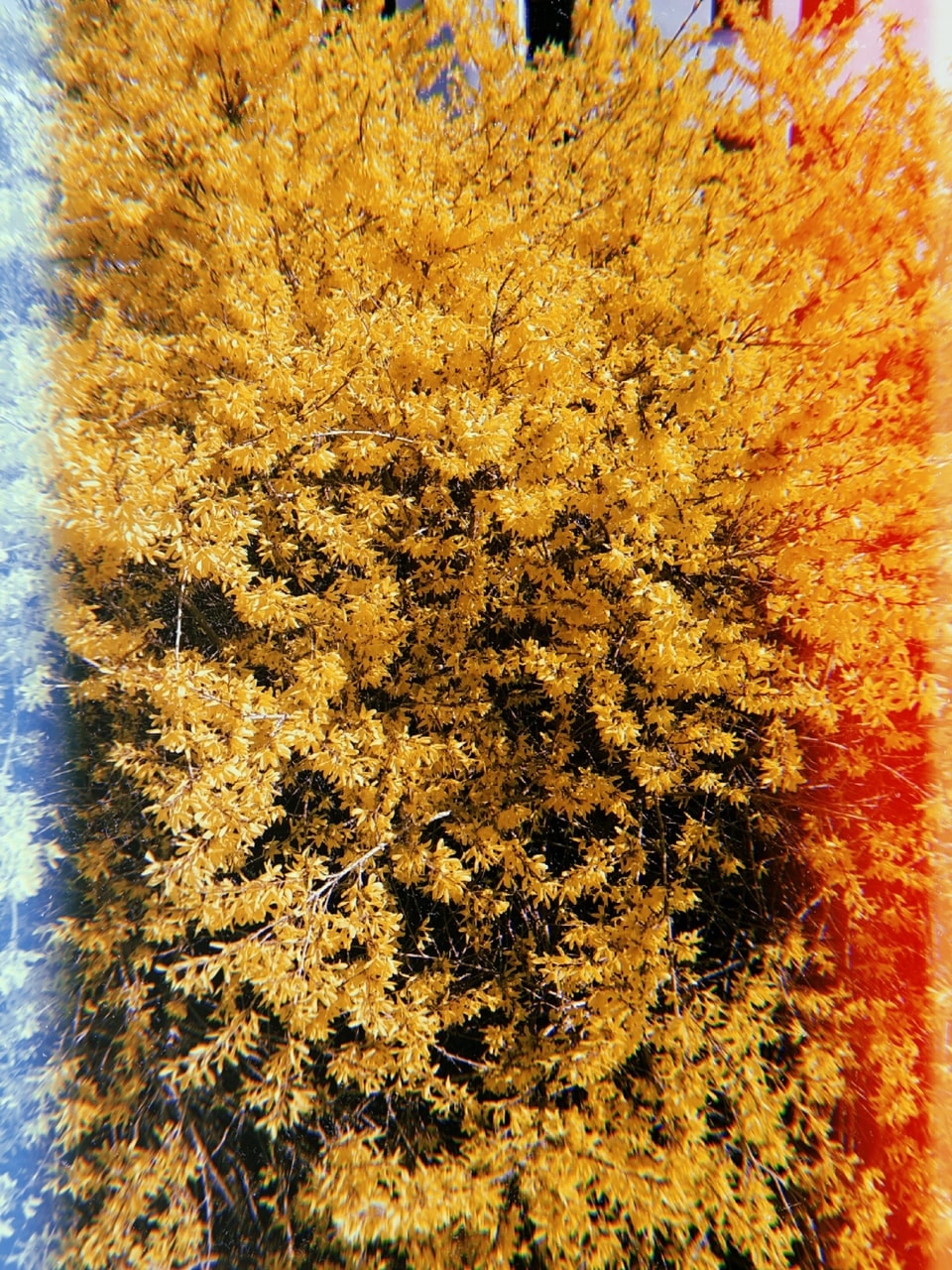 Go to Kati's profile