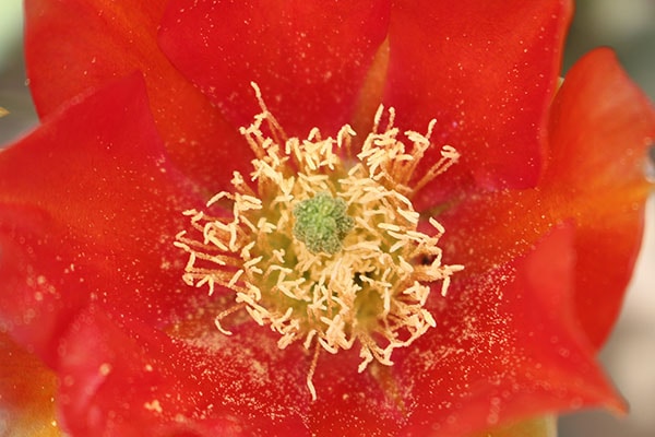 Zum Profil von Kristin Parmar