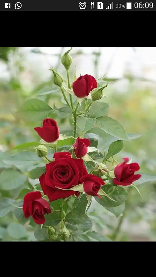 Go to Ameya Purohit's profile