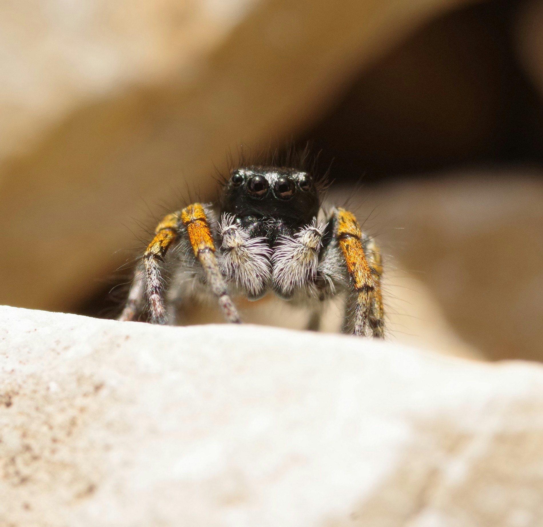 Go to Alex Baumel's profile