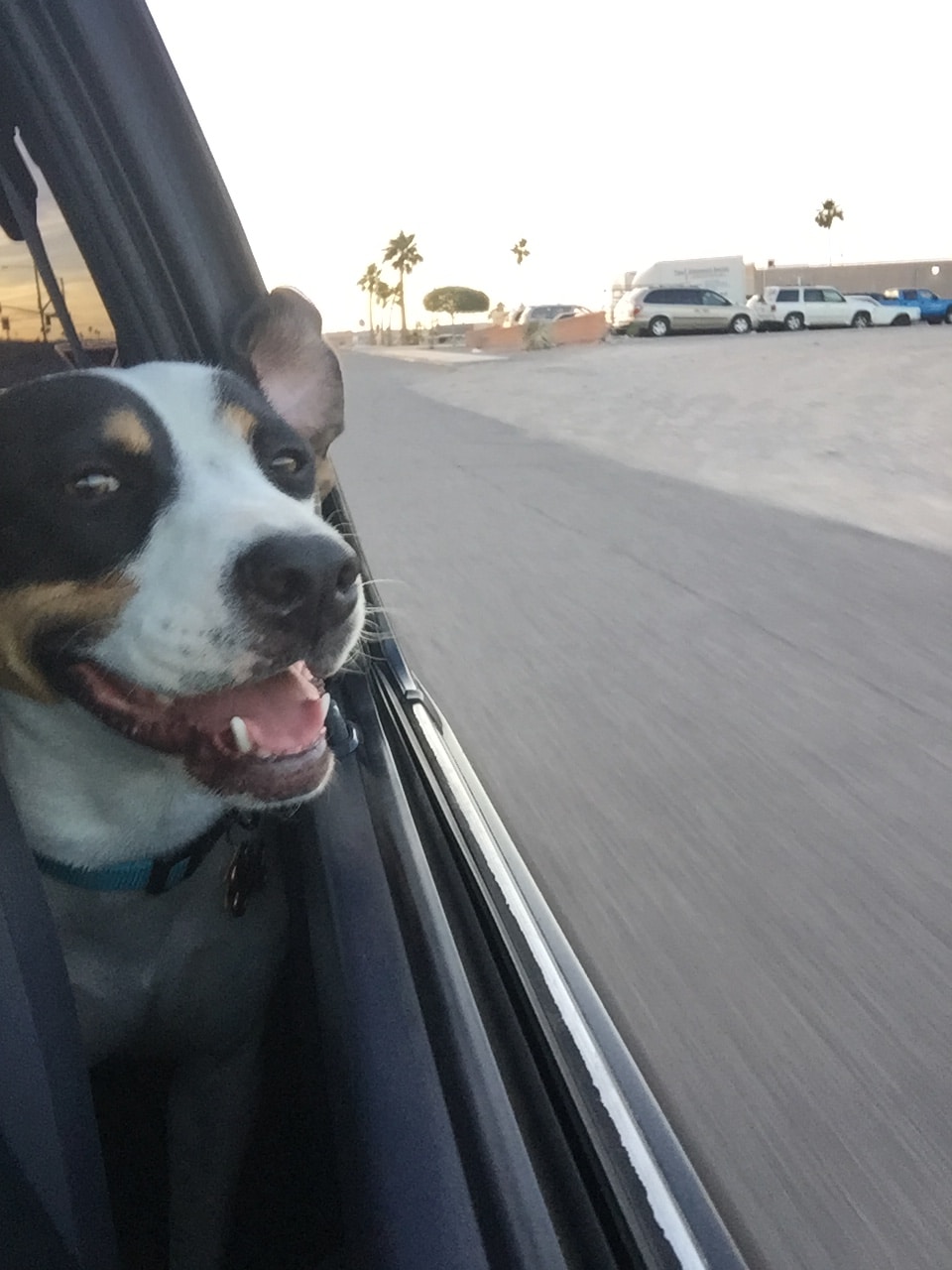 Go to Susan Weber's profile