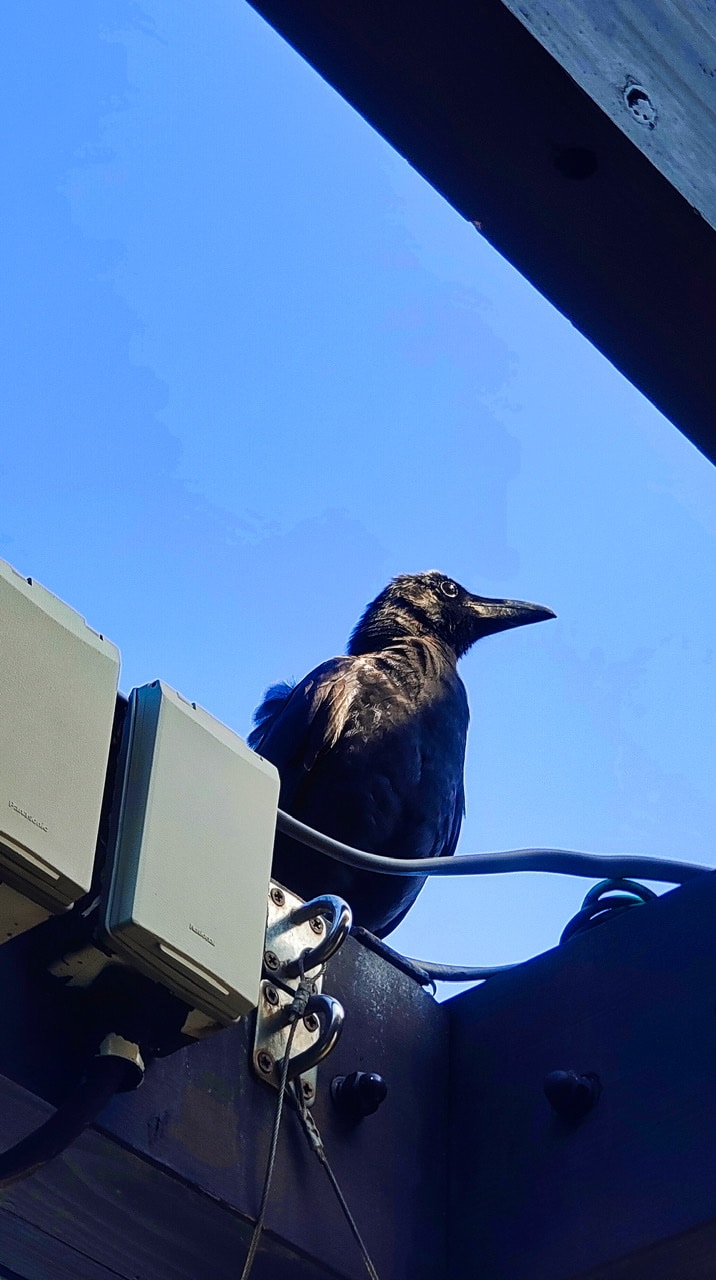 Go to Maxtune Lee's profile