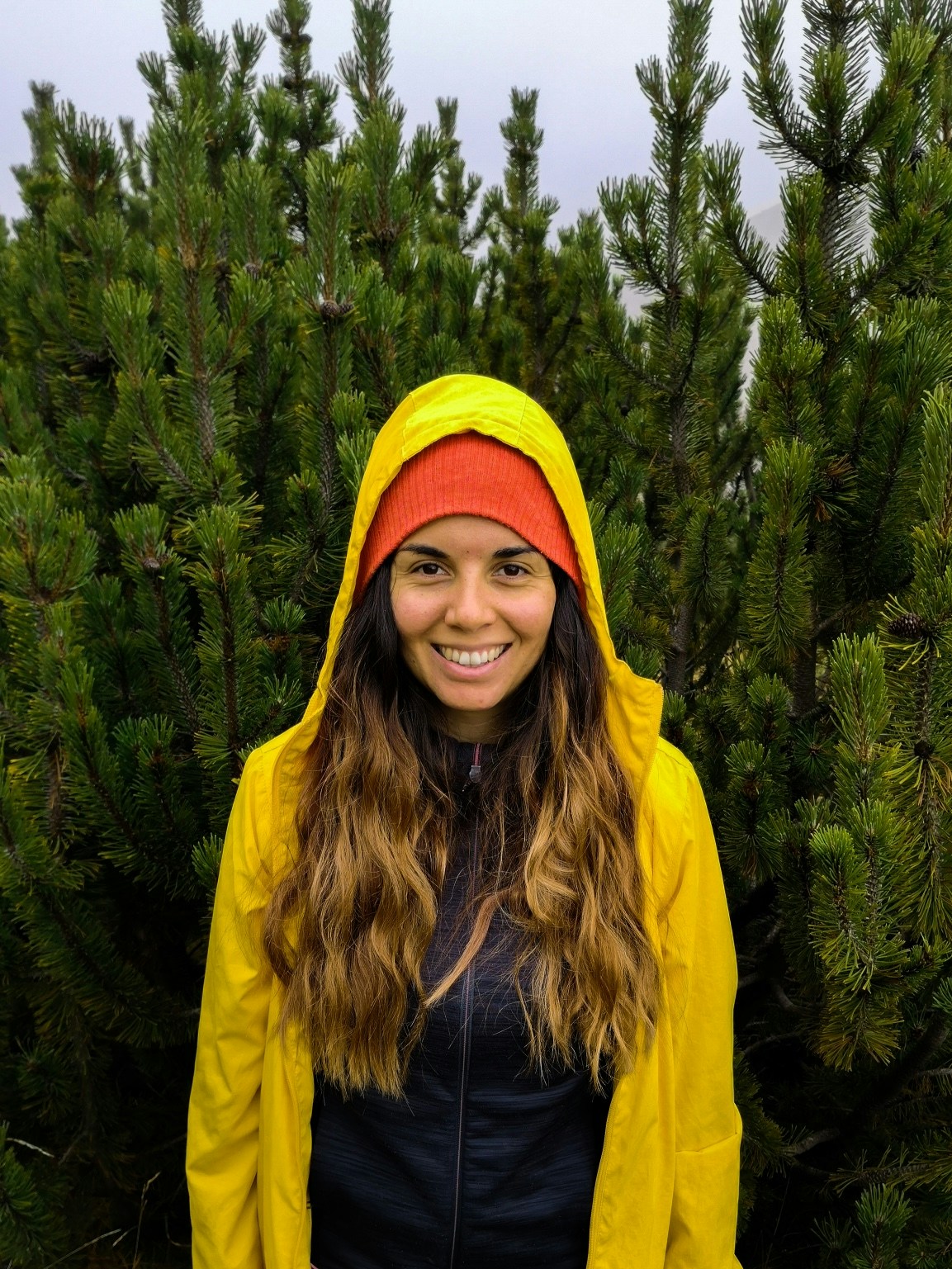 Go to Antonia Chekrakchieva's profile