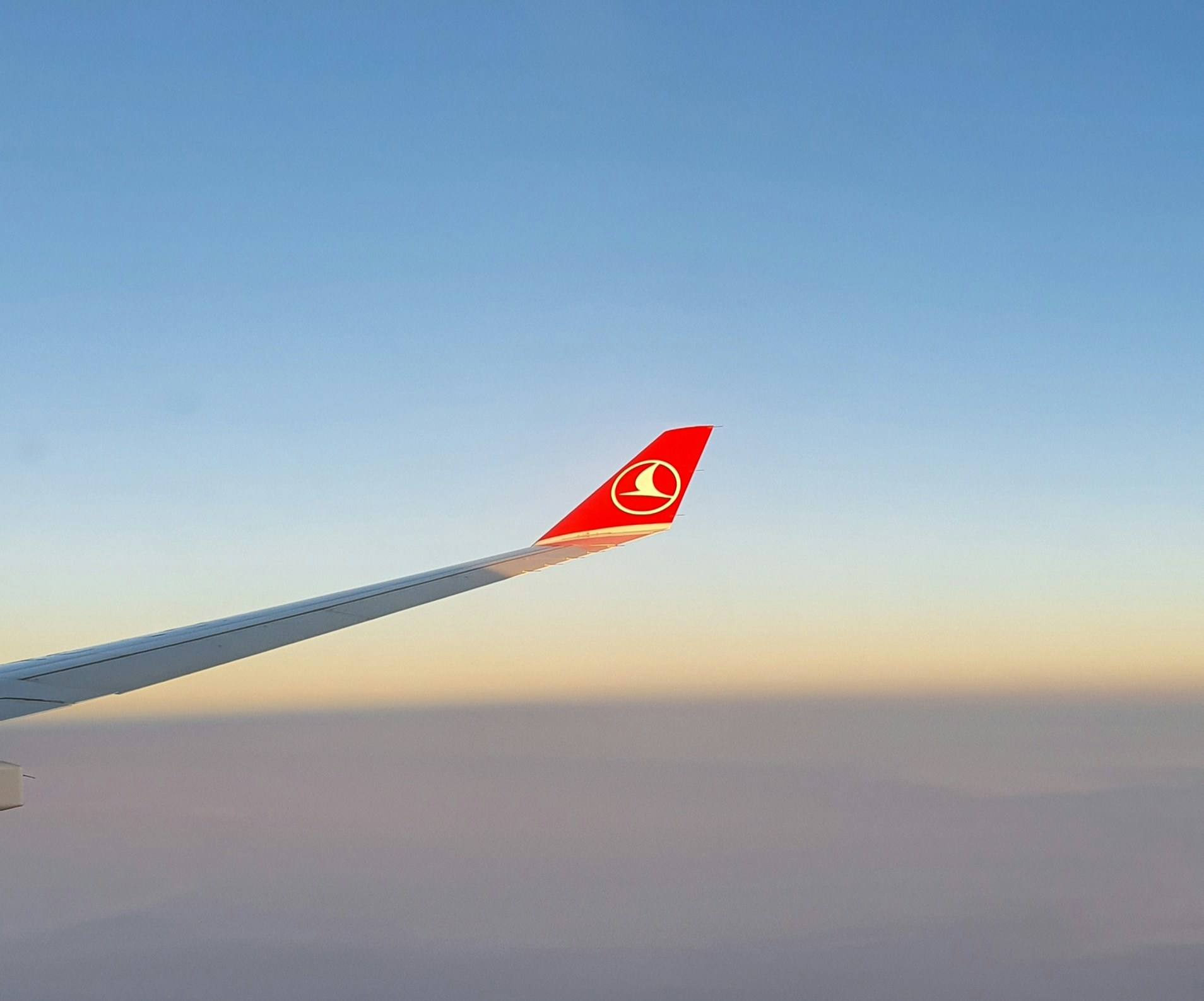 Vai al profilo di Ömer F. Arslan