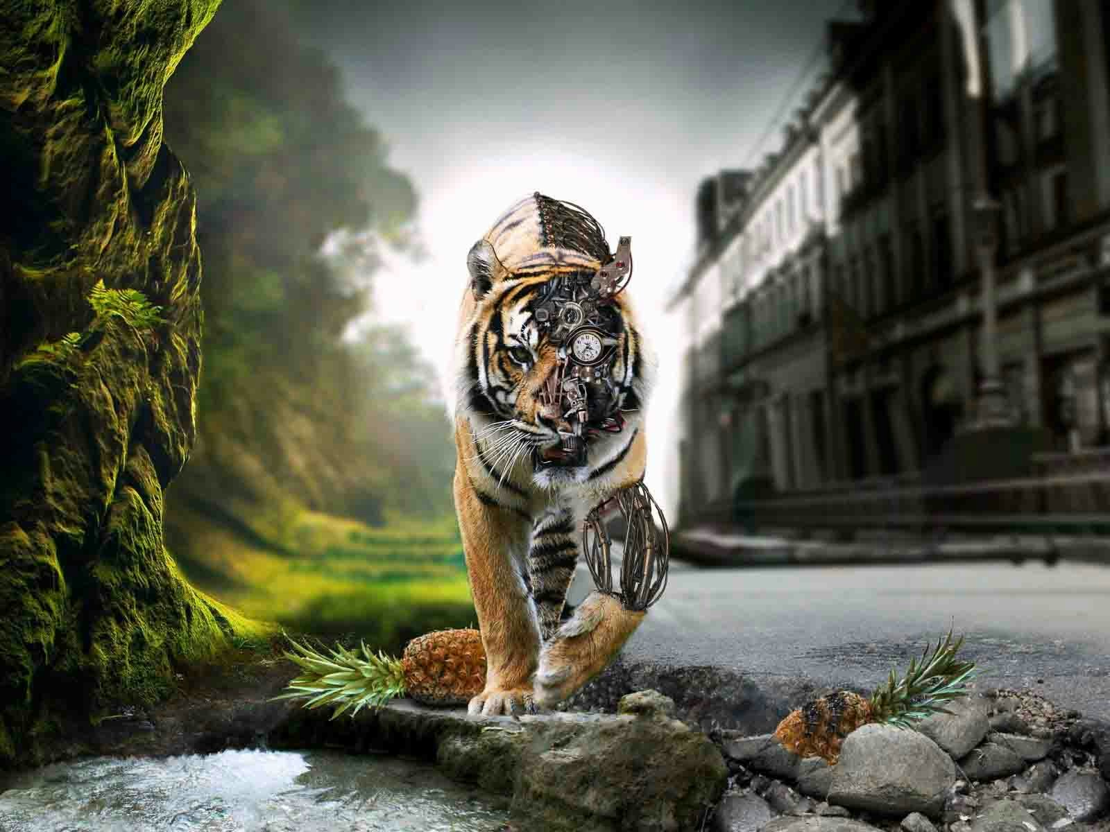 Vai al profilo di Myron Drawdy