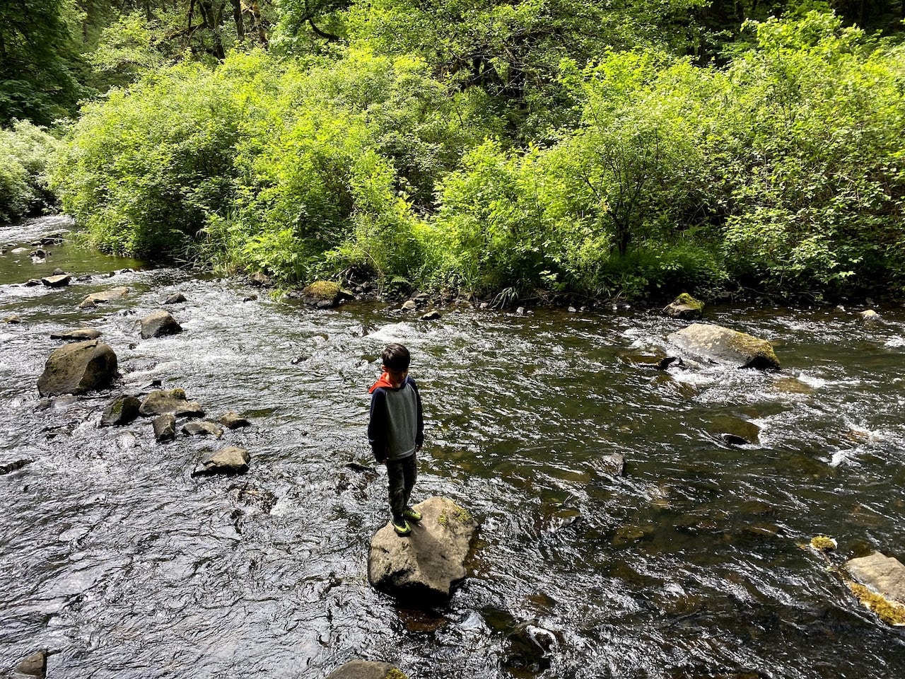 Go to Geoff Chang's profile