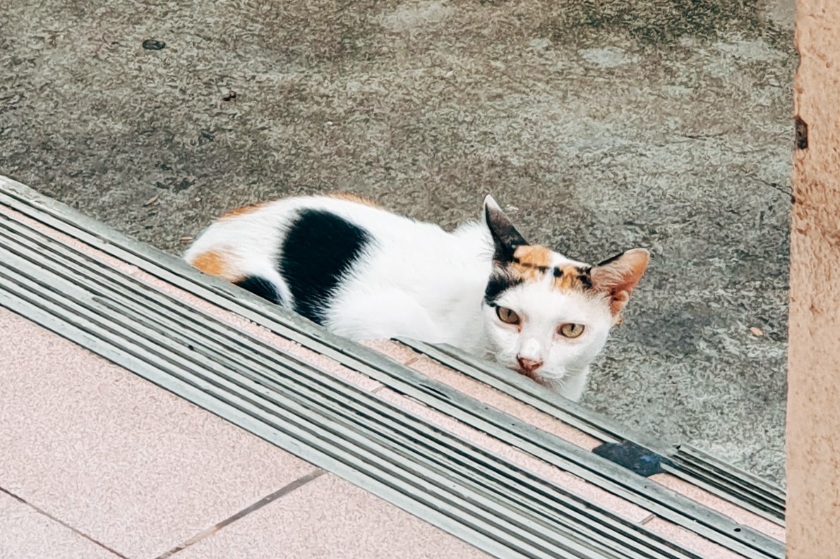 Go to Payoon Gerinto's profile