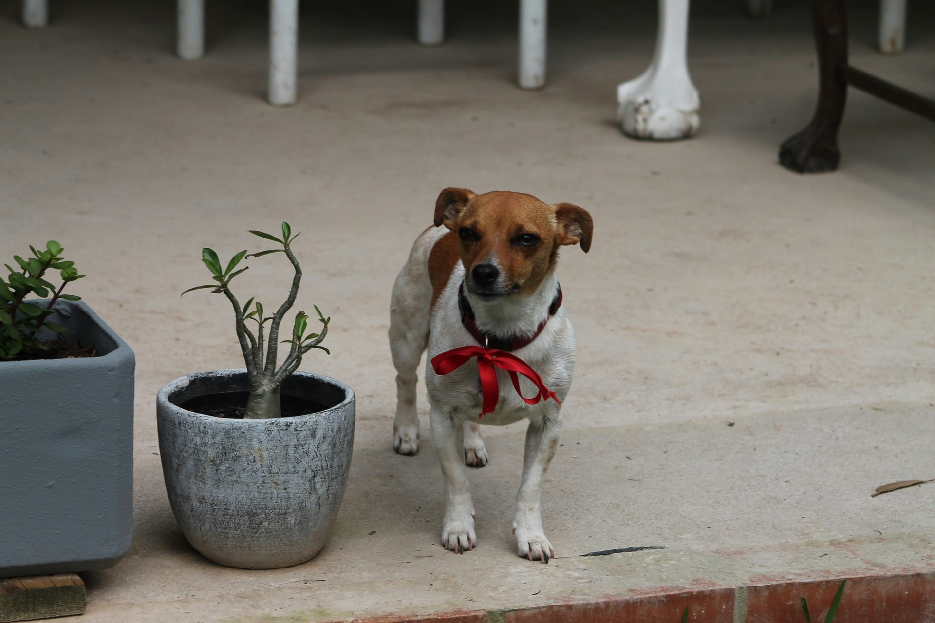 Avatar of user sarah tatton