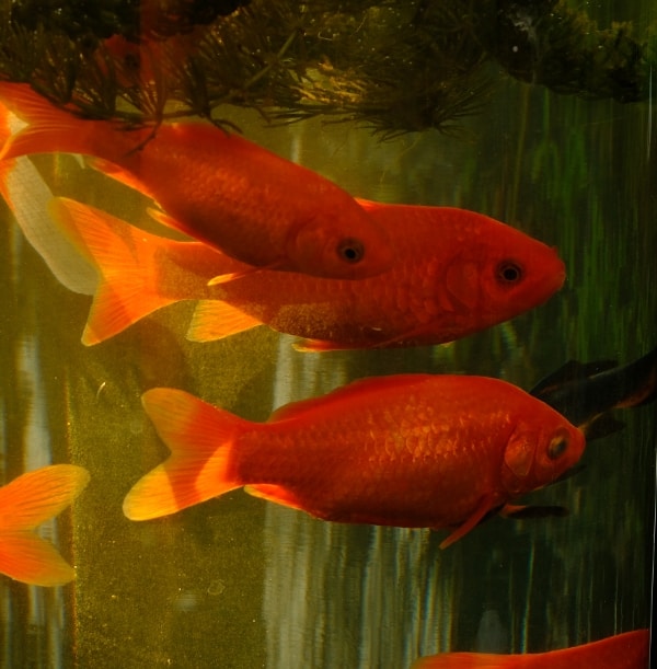 Go to Boudewijn Huysmans's profile