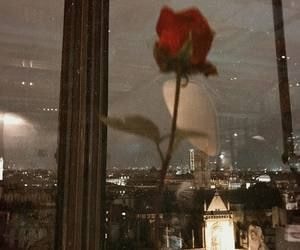 Ve al perfil de Yi Wei