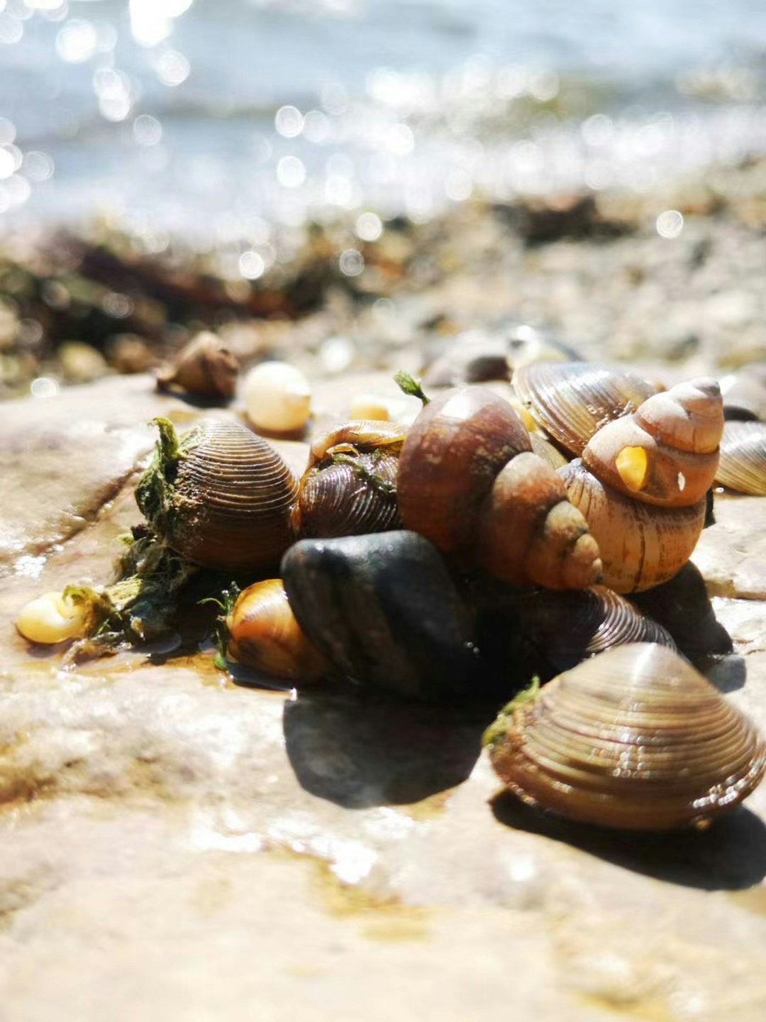 Go to Amy HH's profile