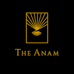 Avatar of user The Anam